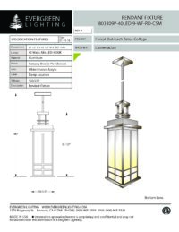 803309P-40LED-9-WF-RD-CSM